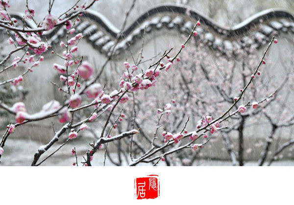 致敬！美丽中国的守望者：beat365官网中文(图1)