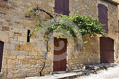 【beat365官网中文】生态环境部:重点区域强化监督帮扶打击劣质柴油取得明显成效(图1) beat365官网中文